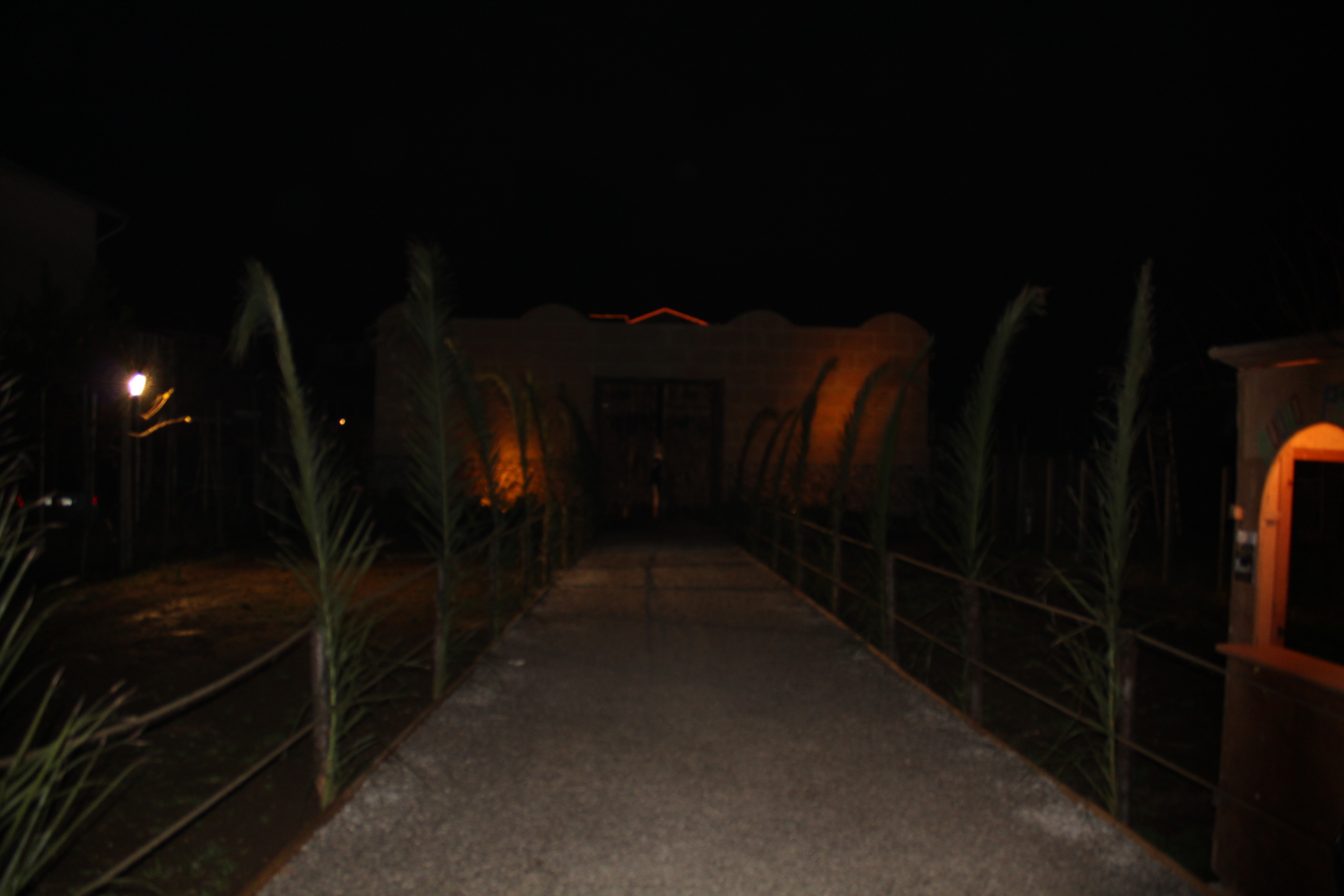 Presepe Vivente 